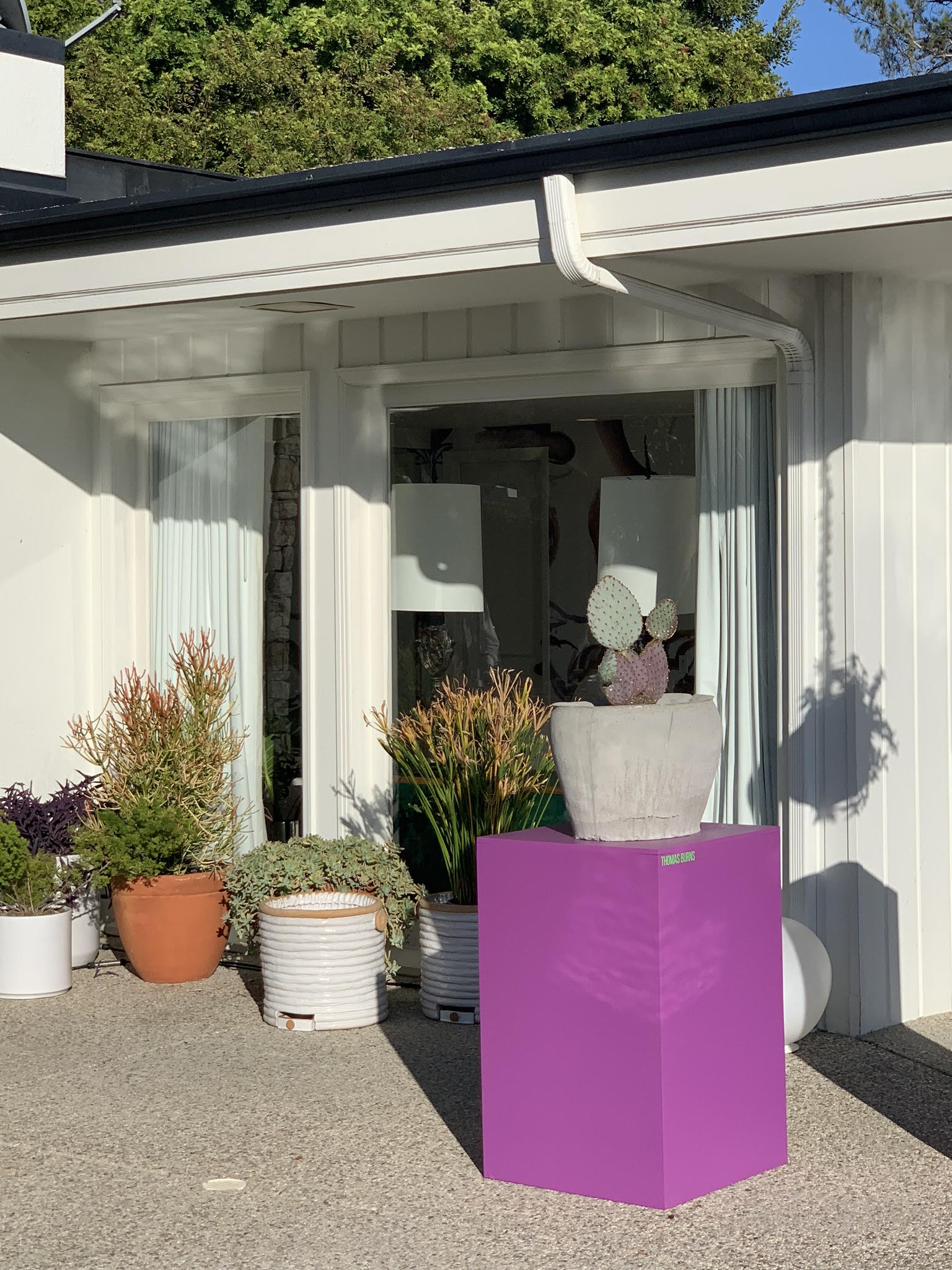 Thomas Burns Object Permanence Succulent Planter at Casa Perfect